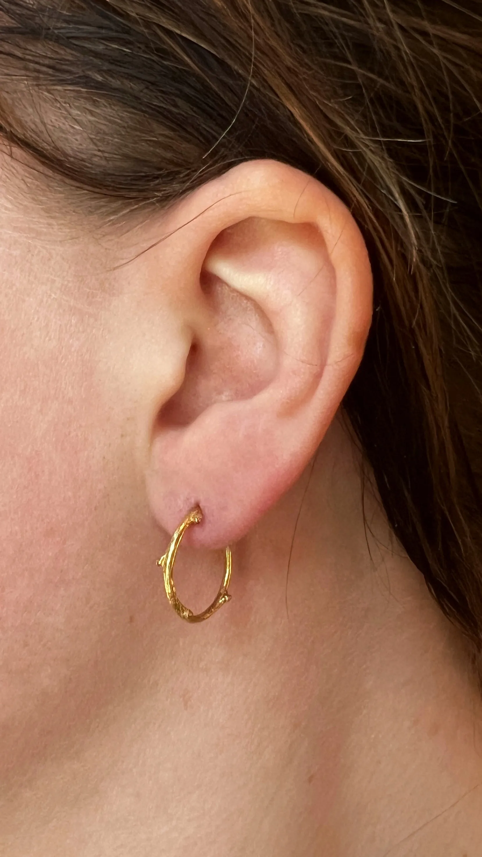 Golden Twig Hoops, Small